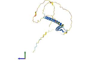 AlphaFold protein structure predicition of Mouse Recombinant Neurog3 Protein, UniprotID P70661