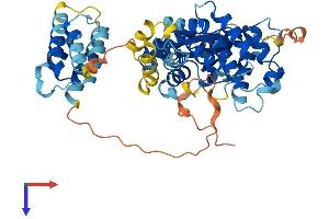 AlphaFold protein structure predicition of Mouse Recombinant Fastk Protein, UniprotID Q9JIX9