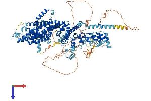 AlphaFold protein structure predicition of Human Recombinant TRPC4 Protein, UniprotID Q9UBN4