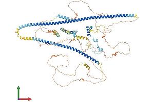 AlphaFold protein structure predicition of Mouse Recombinant Incenp Protein, UniprotID Q9WU62