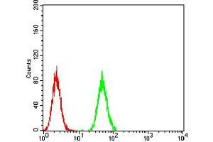 Flow Cytometry (FACS) image for anti-Chromobox Homolog 1 (CBX1) (AA 1-185) antibody (ABIN5890956) (CBX1 anticorps  (AA 1-185))