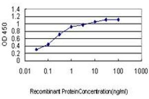 Detection limit for recombinant GST tagged YY1 is approximately 0. (YY1 anticorps  (AA 221-320))