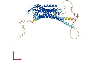 AlphaFold protein structure predicition of Mouse Recombinant Cckar Protein, UniprotID O08786