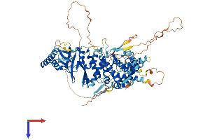 AlphaFold protein structure predicition of Mouse Recombinant Bbs10 Protein, UniprotID Q9DBI2