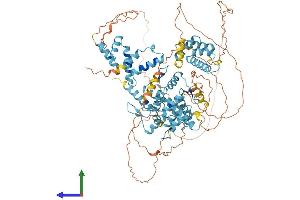 AlphaFold protein structure predicition of Human Recombinant ZSCAN29 Protein, UniprotID Q8IWY8