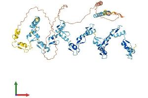 AlphaFold protein structure predicition of Human Recombinant ZNF28 Protein, UniprotID P17035