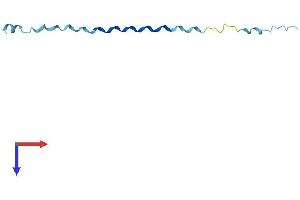 AlphaFold protein structure predicition of Human Recombinant SPRR2B Protein, UniprotID P35325