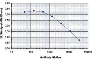 ELISA is a quantitative method used to determine the titer of the antibody using a serial dilution of antibody against human CBFB. (CBFB anticorps  (Center))