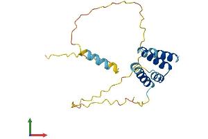 AlphaFold protein structure predicition of Human Recombinant CT45A5 Protein, UniprotID P0DMU8