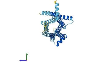 AlphaFold protein structure predicition of Human Recombinant TAS2R50 Protein, UniprotID P59544