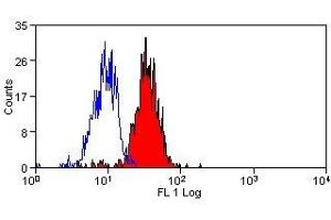 Flow Cytometry (FACS) image for anti-C-Type Lectin Domain Family 7, Member A (CLEC7A) antibody (ABIN2473247)