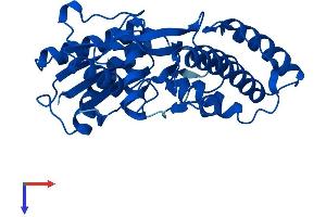 AlphaFold protein structure predicition of Human Recombinant OSGEP Protein, UniprotID Q9NPF4