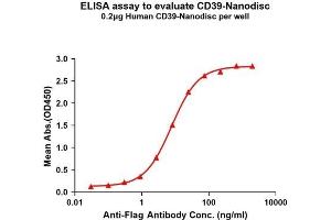 Elisa plates were pre-coated with Flag Tag CD39-Nanodisc (0.