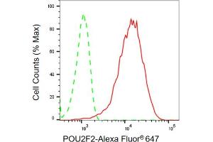 Flow cytometric analysis of POU2F2 expression in HepG2 cells using POU2F2 antibody (ABIN7799890), 1:2,000). (Recombinant Oct-2 anticorps)
