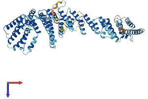 AlphaFold protein structure predicition of Mouse Recombinant Nup85 Protein, UniprotID Q8R480