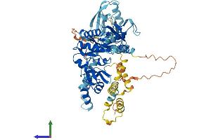 AlphaFold protein structure predicition of Human Recombinant MPP2 Protein, UniprotID Q14168