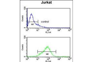 Flow cytometry analysis of Jurkat cells (bottom histogram) compared to a negative control cell (top histogram).