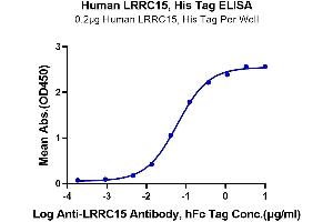 Immobilized Human LRRC15, His Tag at 2 μg/mL (100 μL/Well) on the plate.