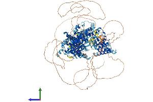 AlphaFold protein structure predicition of Mouse Recombinant Alpk1 Protein, UniprotID Q9CXB8