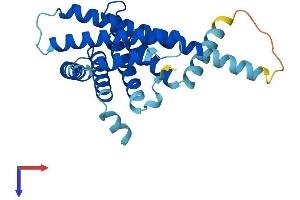 AlphaFold protein structure predicition of Human Recombinant PEX11A Protein, UniprotID O75192
