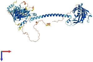 AlphaFold protein structure predicition of Mouse Recombinant Gucy1a1 Protein, UniprotID Q9ERL9