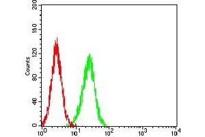 Flow cytometric analysis of SK-OV-3 cells using MUC16 mouse mAb (green) and negative control (red).