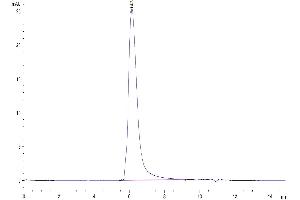 The purity of Human IL-23R is greater than 95 % as determined by SEC-HPLC.