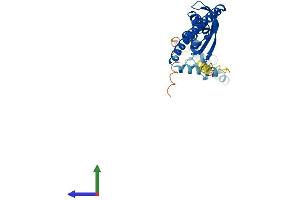 AlphaFold protein structure predicition of Human Recombinant STOM Protein, UniprotID P27105