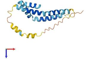 AlphaFold protein structure predicition of Mouse Recombinant Fundc1 Protein, UniprotID Q9DB70