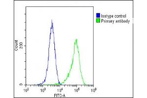 Overlay histogram showing Hela cells stained with (ABIN391965 and ABIN2841761)(green line). (FGFR2 anticorps  (N-Term))
