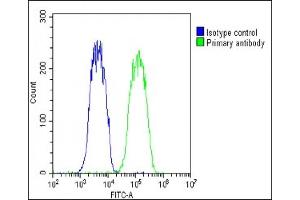 Overlay histogram showing Hela cells stained with (ABIN651869 and ABIN2840430)(green line).