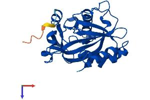 AlphaFold protein structure predicition of Mouse Recombinant Idi2 Protein, UniprotID Q8BFZ6