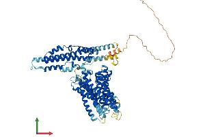 AlphaFold protein structure predicition of Human Recombinant XPR1 Protein, UniprotID Q9UBH6