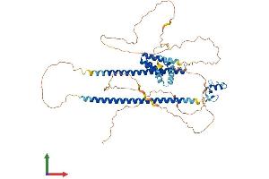 AlphaFold protein structure predicition of Mouse Recombinant Cbfa2t2 Protein, UniprotID O70374