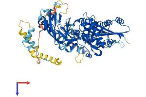 AlphaFold protein structure predicition of Mouse Recombinant Cep76 Protein, UniprotID Q0VEJ0