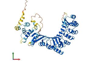 AlphaFold protein structure predicition of Human Recombinant PRAMEF4 Protein, UniprotID O60810