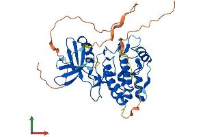 AlphaFold protein structure predicition of Mouse Recombinant Trib3 Protein, UniprotID Q8K4K2