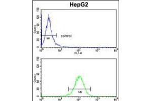 Flow cytometry analysis of HepG2 cells (bottom histogram) compared to a negative control cell (top histogram). (HOMER1 anticorps  (N-Term))