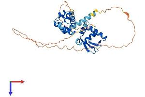 AlphaFold protein structure predicition of Mouse Recombinant Spdef Protein, UniprotID Q9WTP3