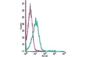 Cell surface detection of LRRC8A by indirect flow cytometry in live intact human Jurkat T-cell leukemia cells: (black line) Cells.
