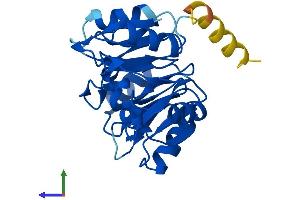 AlphaFold protein structure predicition of Mouse Recombinant Eif6 Protein, UniprotID O55135