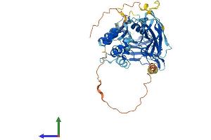 AlphaFold protein structure predicition of Human Recombinant UNC5CL Protein, UniprotID Q8IV45