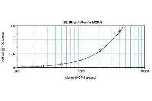 Image no. 1 for anti-Chemokine (C-C Motif) Ligand 12 (Ccl12) antibody (Biotin) (ABIN465850)