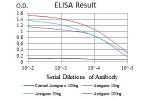 ELISA image for anti-Neural Precursor Cell Expressed, Developmentally Down-Regulated 8 (NEDD8) antibody (ABIN1108403)
