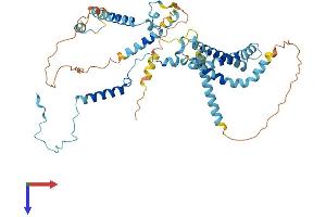 AlphaFold protein structure predicition of Mouse Recombinant Utp3 Protein, UniprotID Q9JI13