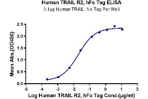 Immobilized Human TRAIL at 1 μg/mL (100 μL/well) on the plate.