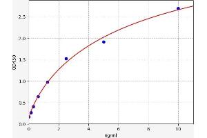 Typical standard curve (ATP7A Kit ELISA)