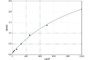 Fibroblast Growth Factor 6 (FGF6) ELISA Kit