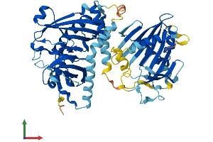 AlphaFold protein structure predicition of Mouse Recombinant Acot12 Protein, UniprotID Q9DBK0