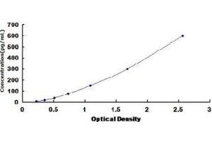 Typical Standard Curve (Fetuin A Kit ELISA)